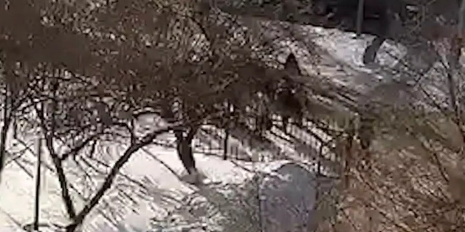 «Кастетпен ұрған»: Астанада 8-сынып оқушысын 10 шақты бала аяусыз соққыға жықты (ВИДЕО)