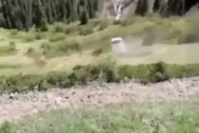 Көлсайда микроавтобус жардан құлап кетті