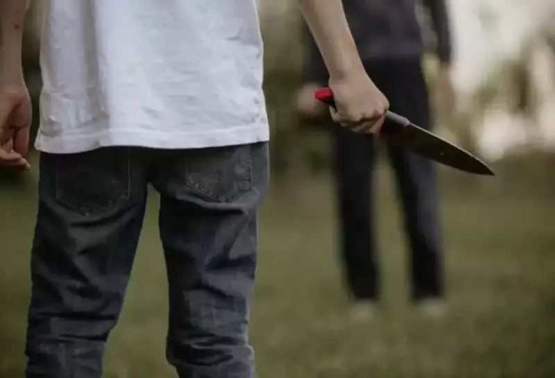 Бывший одноклассник напал с ножом на подростка в Акмолинской области