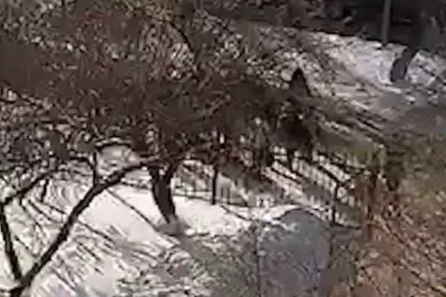 Астанада 8-сынып оқушысын 10 шақты бала аяусыз соққыға жыққан (ВИДЕО)