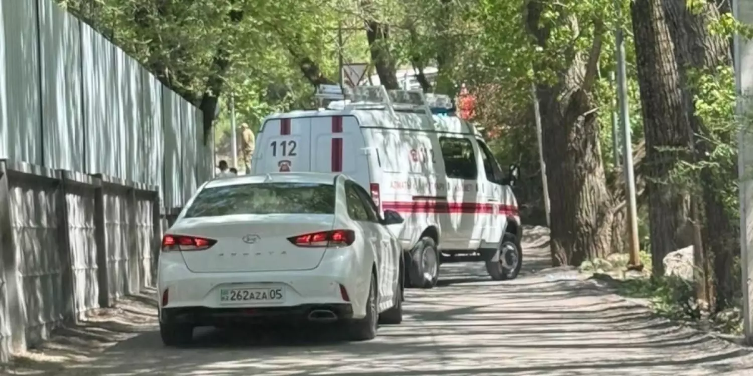 Алматы тауларында жүк көлігі аударылды: Жүргізуші оқиға орнында көз жұмды