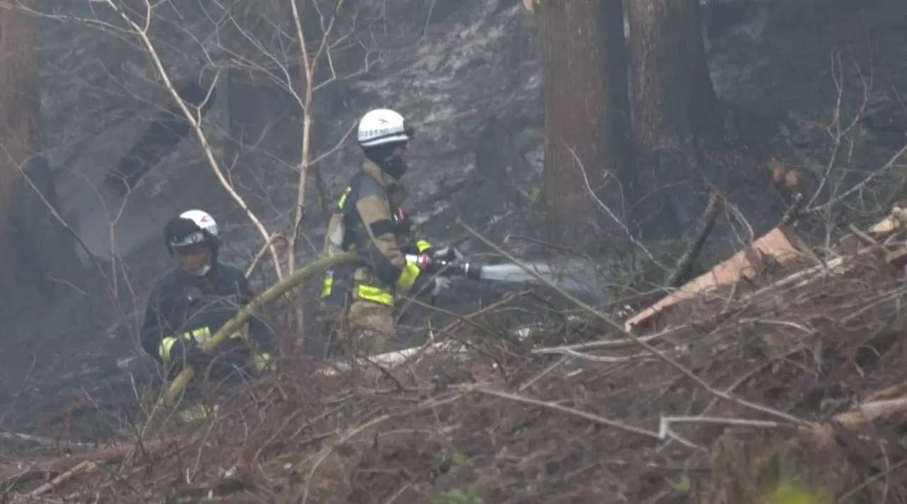 Жапонияда 1200 гектар жер жанып кетті