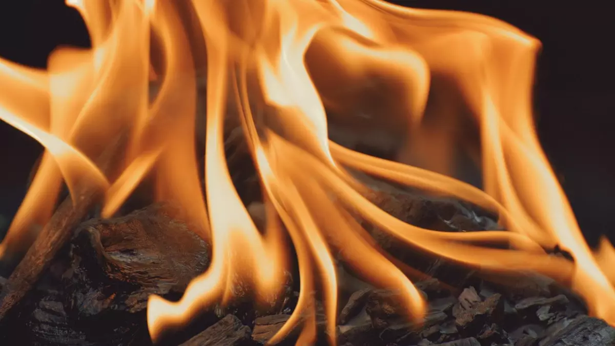 Масштабные лесные пожары в Японии бушуют пятый день