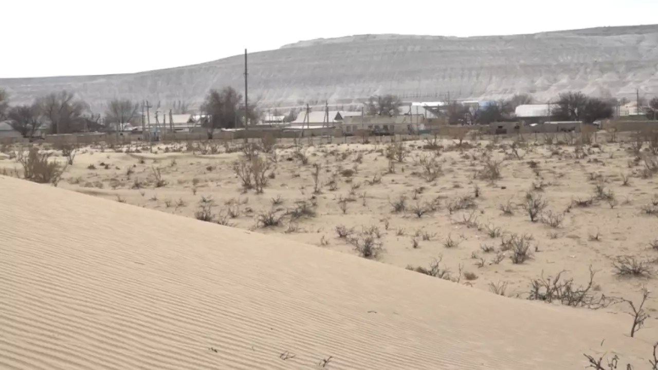 Подвижные пески сдерживают с помощью камыша в Мангистау