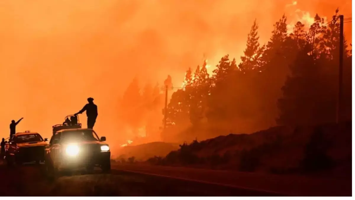 Жапонияда орман өрті бес күннен бері тоқтамай тұр