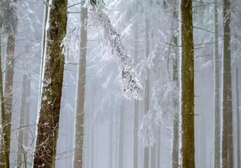 Заморозки и шквалы ожидаются в Казахстане