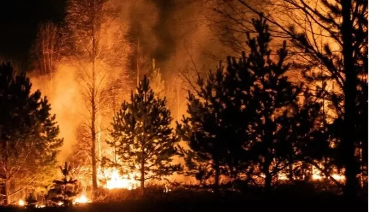 Джорджиядағы орман өрті 120-дан астам үйді қиратты