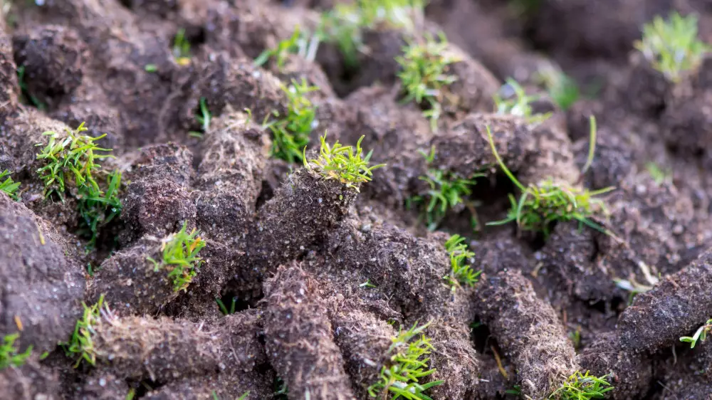 Найзағай және үсік: 27 сәуірде Қазақстанда ауа райы қандай болады?