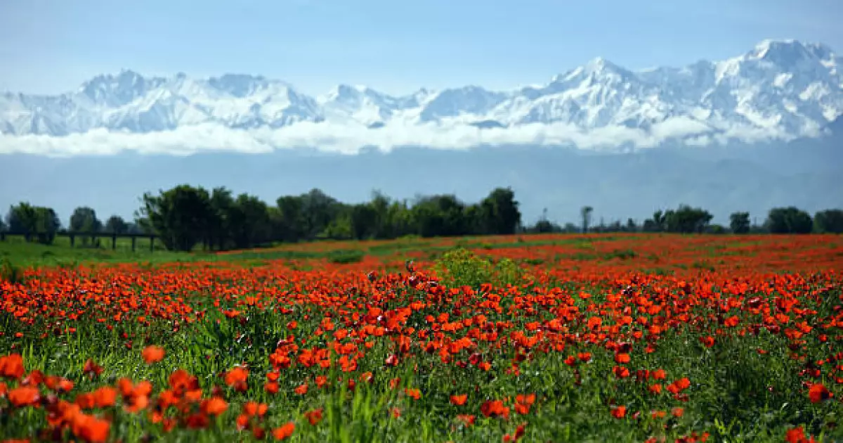   Мамыр айындағы мерекелерде қайда баруға болады?   