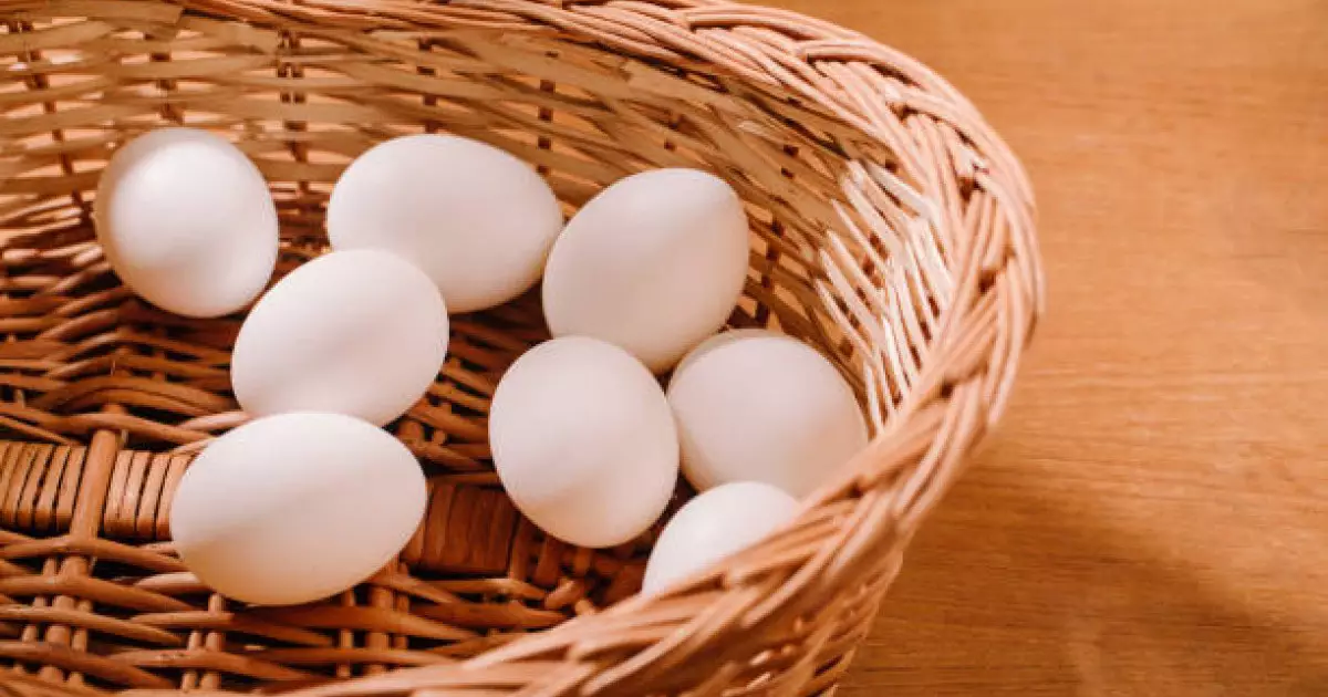  Қазақстан тауық жұмыртқасын елге әкелуге алты айға тыйым салды 