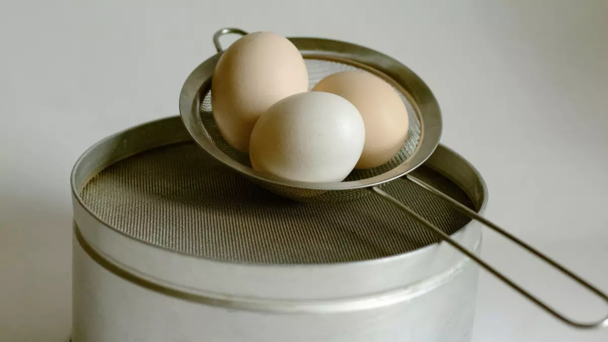 Қазақстан тауық жұмыртқасын елге әкелуге алты айға тыйым салды