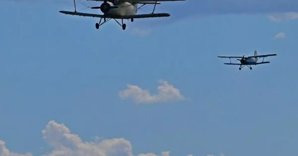   Павлодар облысында шыбын-шіркейге қарсы ауқымды өңдеу жұмыстары басталады   