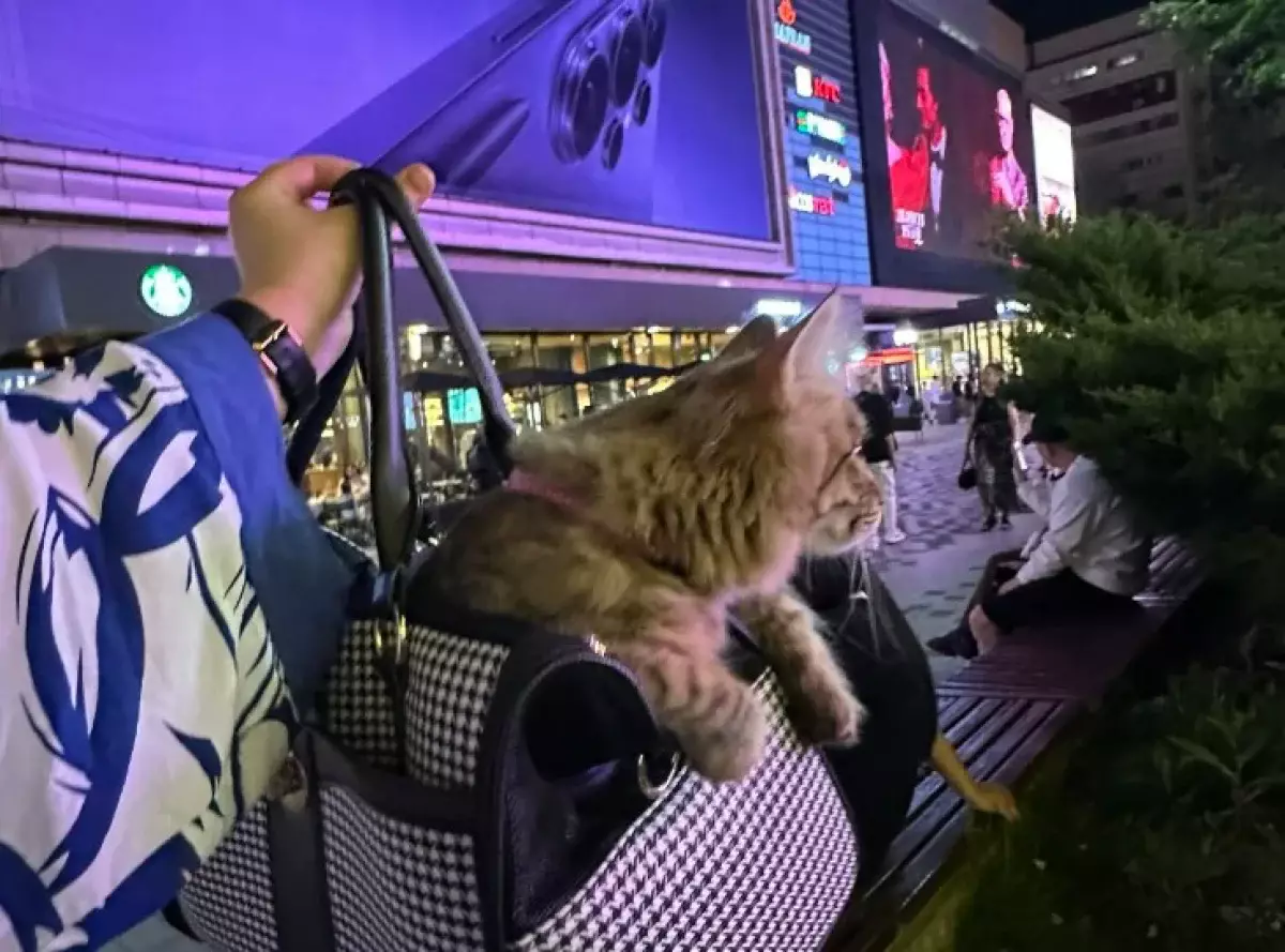 В ЦУМе Алматы посетительницу выгнали за кошку в переноске