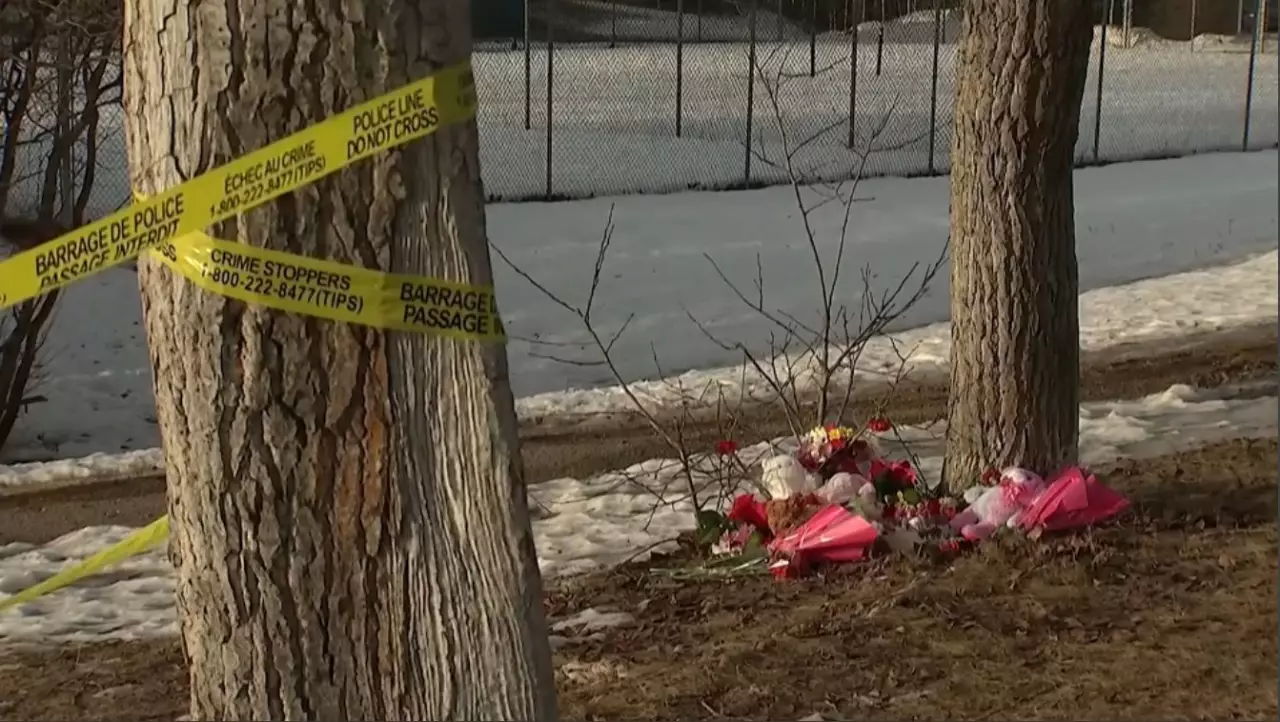 OpenAI компаниясының басшысы Канада халқынан кешірім сұрады