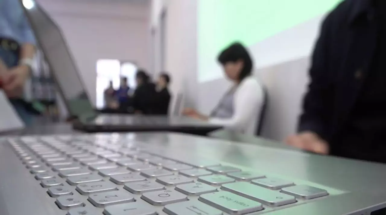 Подготовка кадров будущего. LIVE