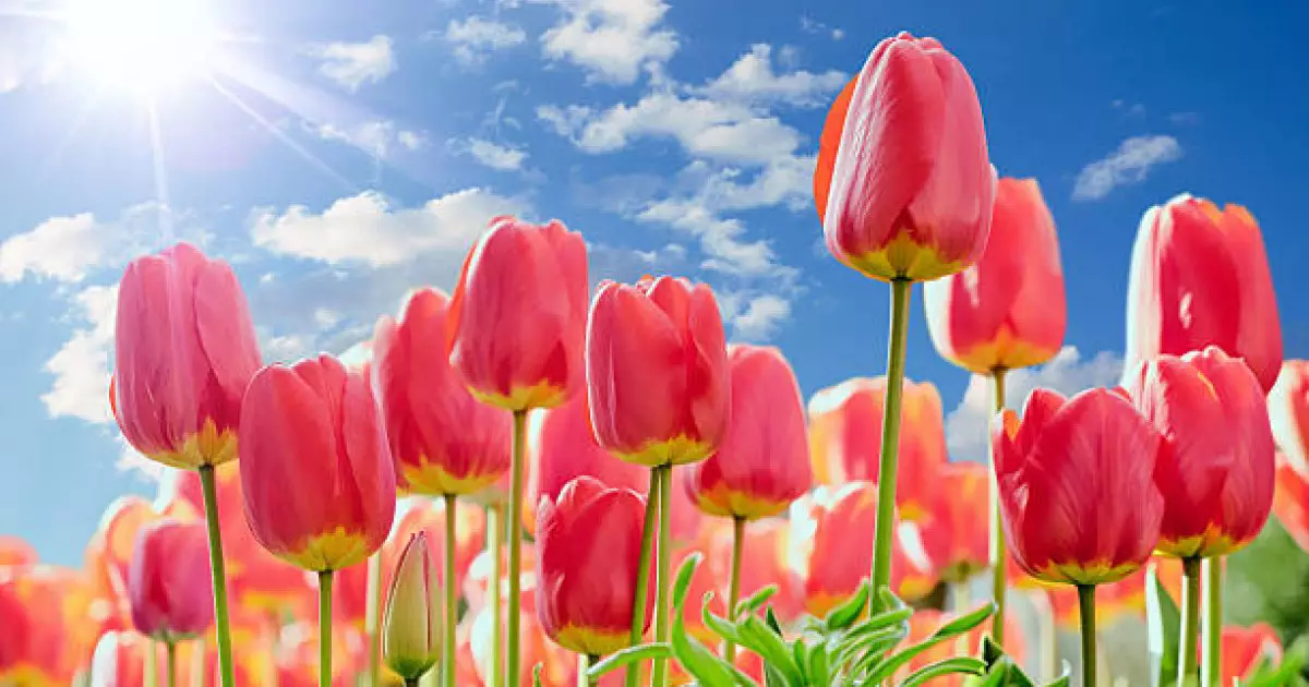  Қазақстанда күн +34 градусқа дейін жылиды 