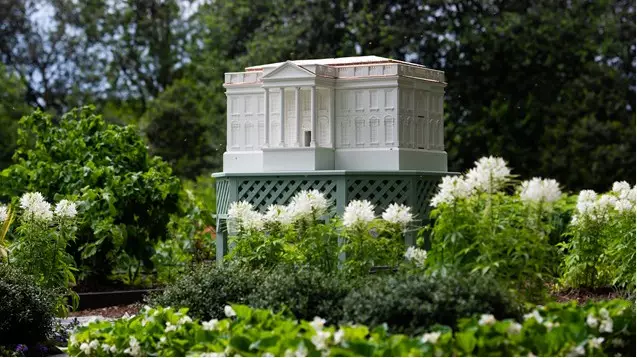 Мелания Трамп Ақ үйге ерекше пішіндегі ара ұясын орнатуды тапсырды