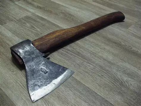 СҚО-да әйел танысын өлтіріп, мәйітін бірнеше күн жасырғаны үшін 14 жылға сотталды