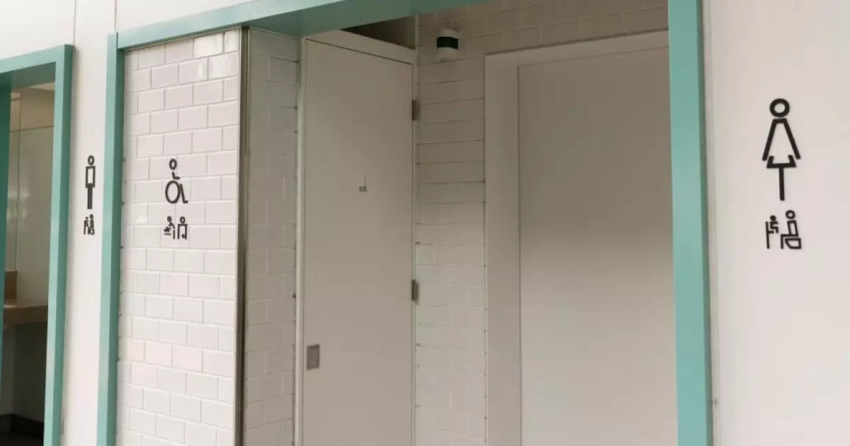  19 жастағы қыз дәретханада босанып, баласын өлтіріп тастаған 