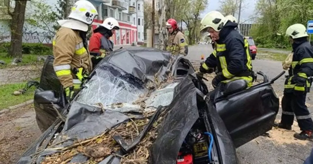  Қатты дауыл салдарынан көліктің үстіне ағаш құлап, жүргізуші көз жұмды 