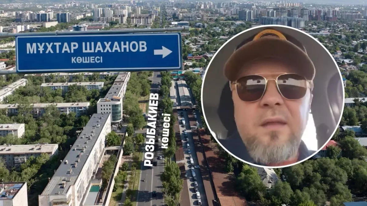 «Ревизионист», «бандиттер»: Шахановты тілдеген блогерді жазалау талап етілді