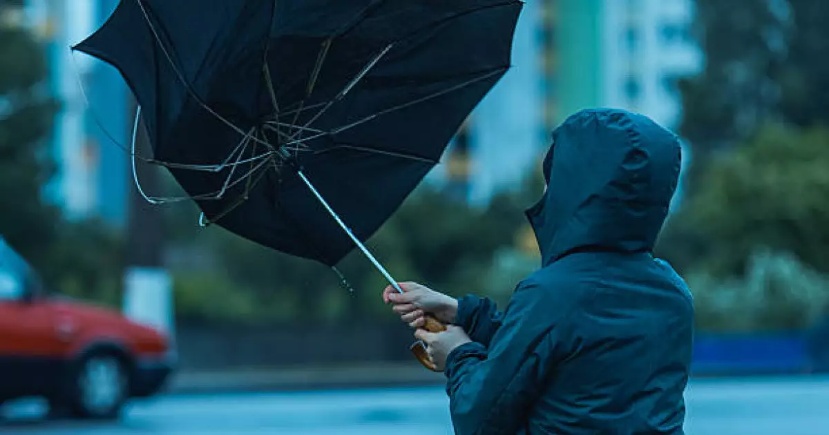  Павлодар облысында екі әйел қатты желден зардап шекті 