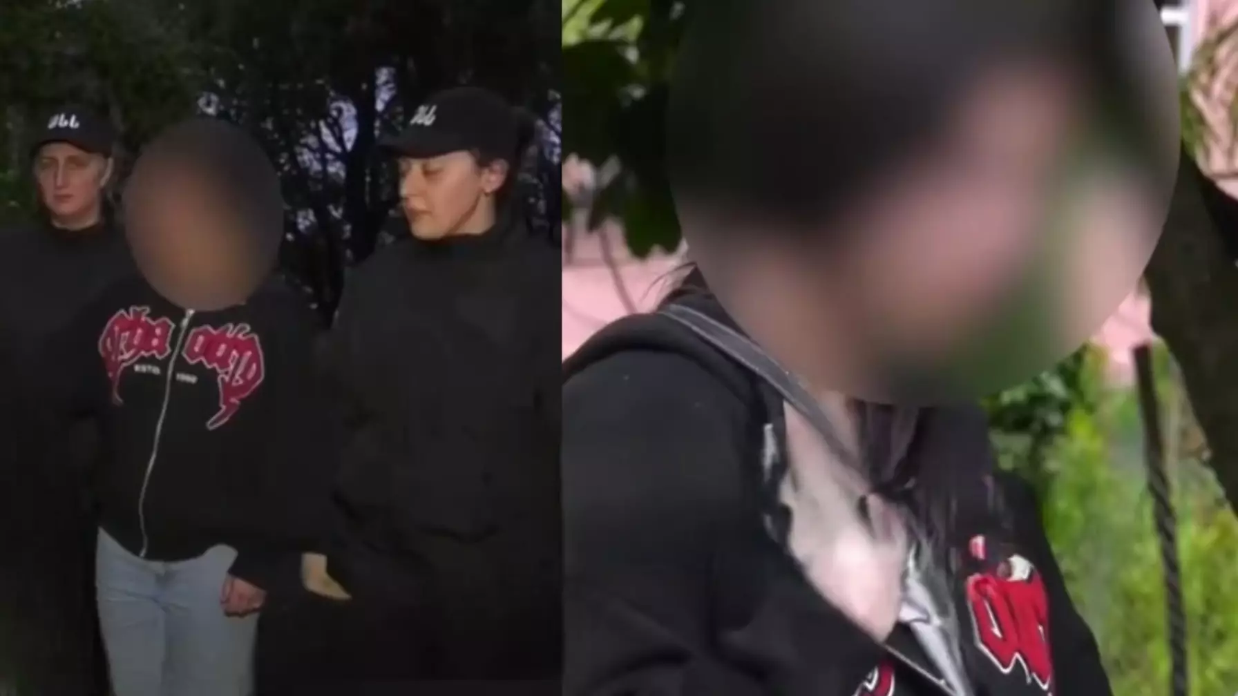 «Грузияда өмір бойына сотталуы мүмкін…»: 18 жасар Қазақстан азаматы ұсталды