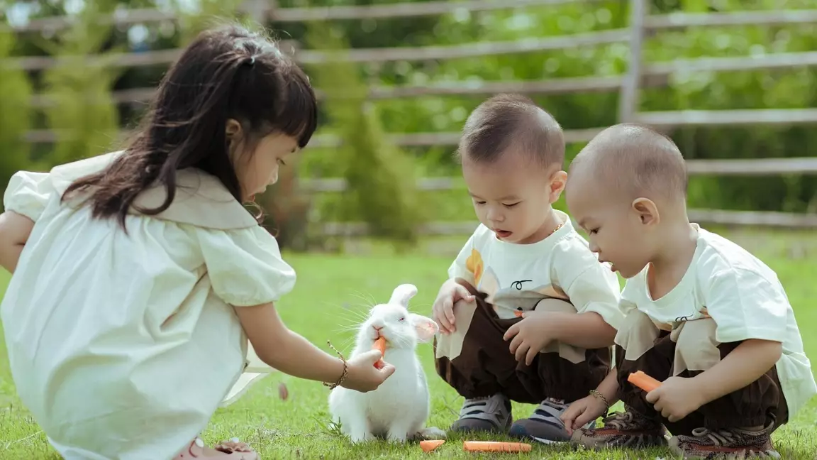 Балалар лагері ескертусіз тексеріледі