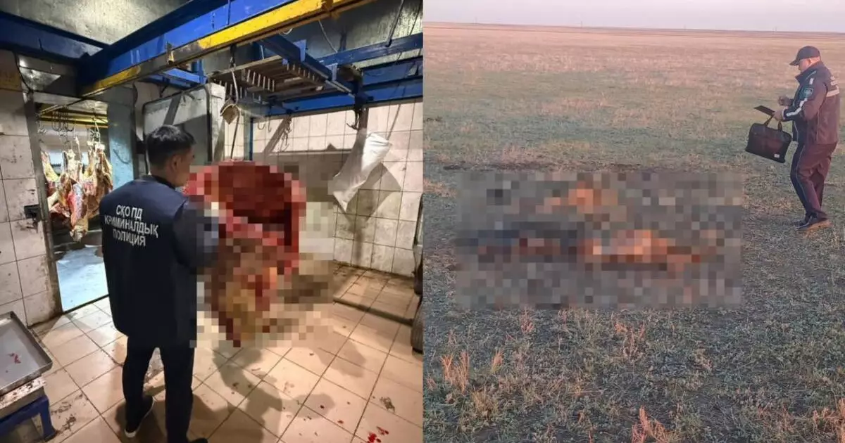  Ет сатып алған тұрғын мал ұрлағандарды ұстап берді 