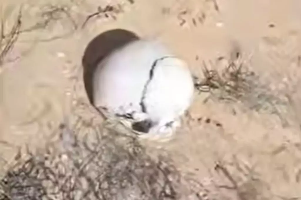 Атырауда адам сүйектері шашылып жатыр (ВИДЕО)