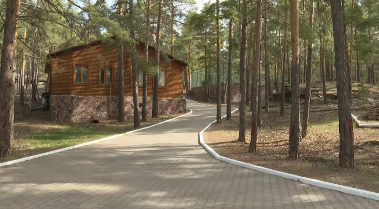 Биыл ақмолалық 20 мыңға жуық оқушы жазғы лагерьде демалады