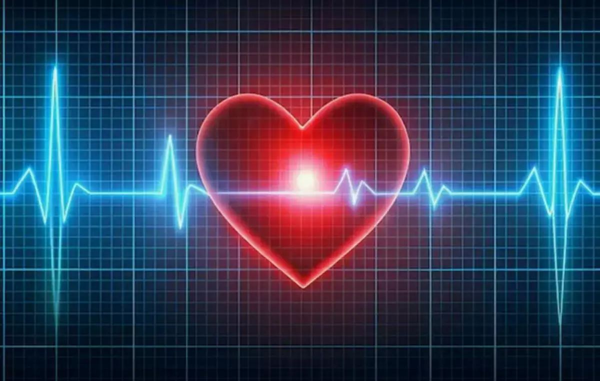 Почему опухоли обходят сердце стороной: найден ключевой фактор - новости на Lada.kz 27.04.2026