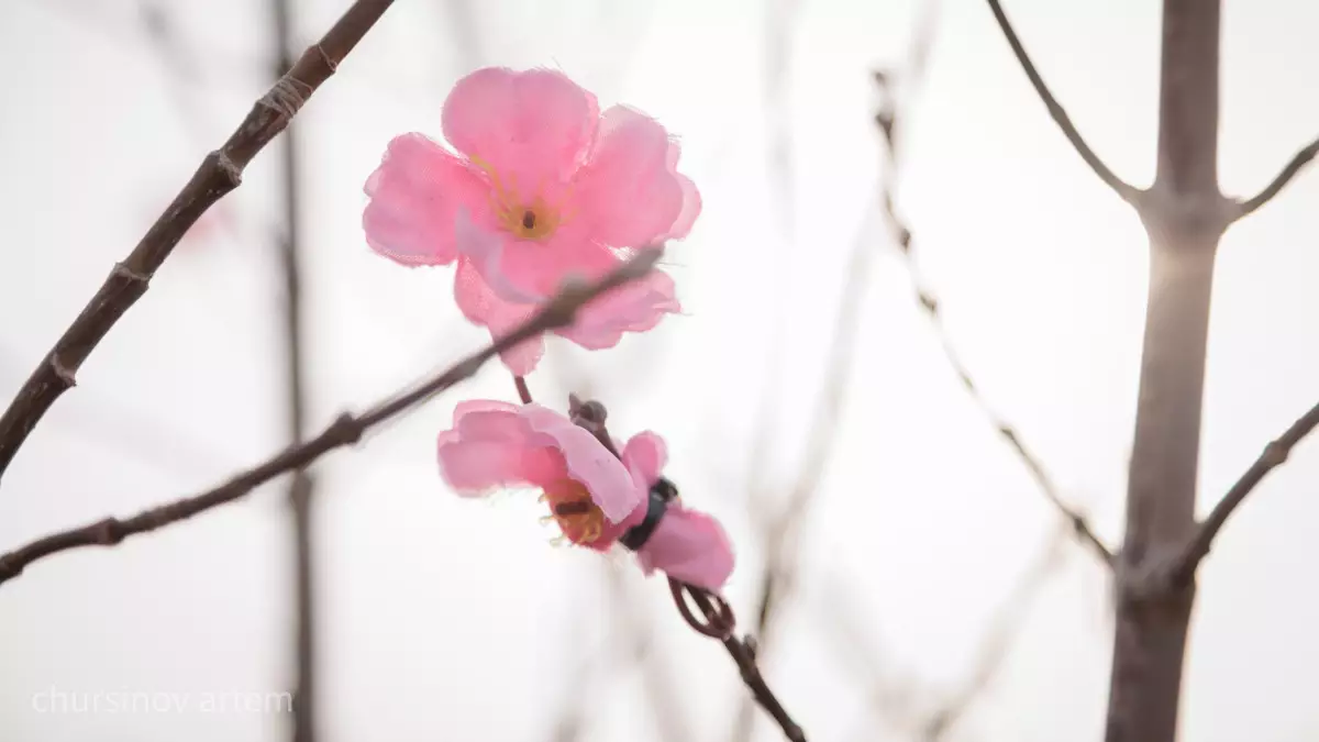 1 мамыр – демалыс: Қазақстандықтар мамыр айында қанша күн демалады?