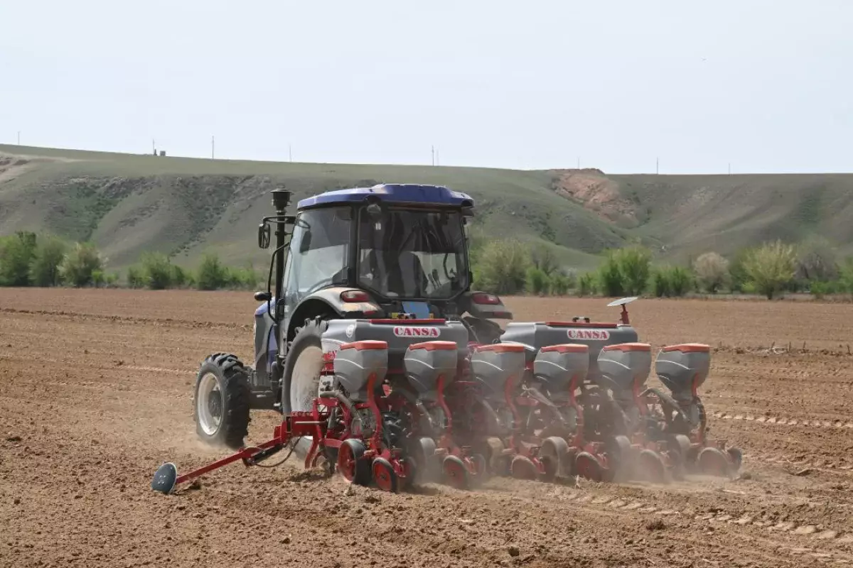 Жетісуда көктемгі егіс жұмыстары қалай жүріп жатыр