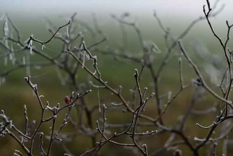Мокрый снег и заморозки: где ухудшится погода в Казахстане