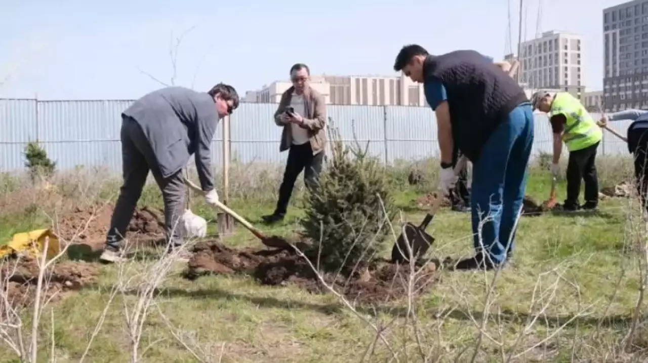 Экоакция по посадке деревьев прошла в Астане