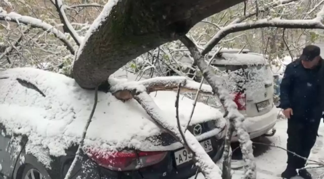 Москву накрыл сильный снегопад