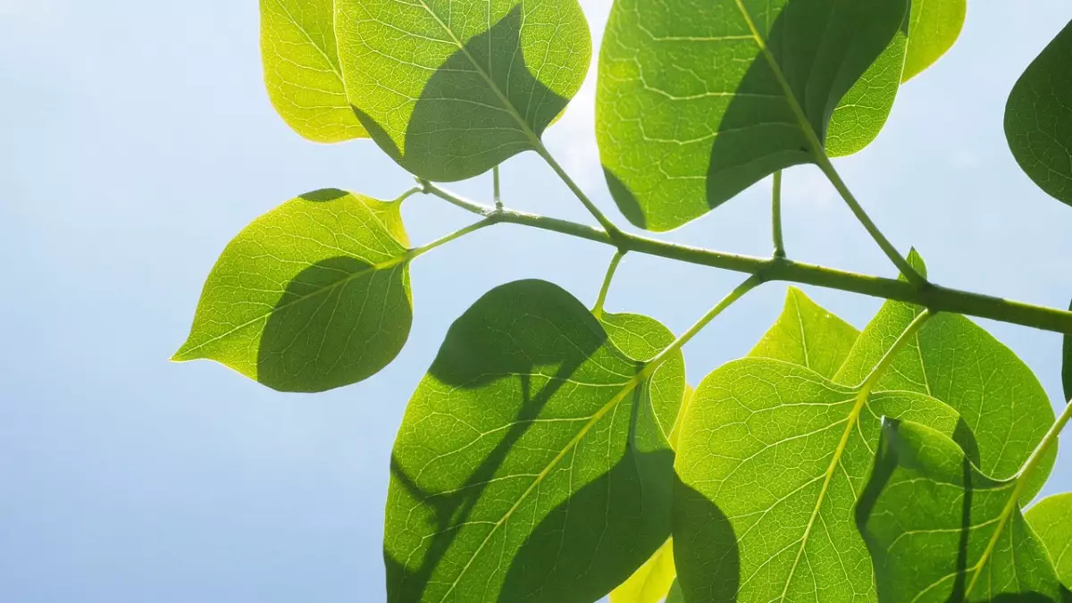 В каких регионах страны объявили штормовое предупреждение на 28 апреля