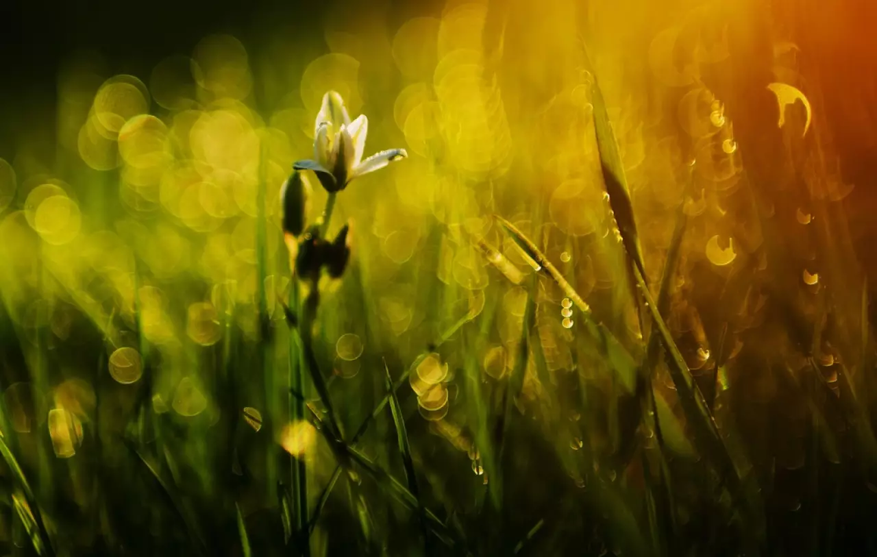 Какую погоду обещают синоптики в Казахстане