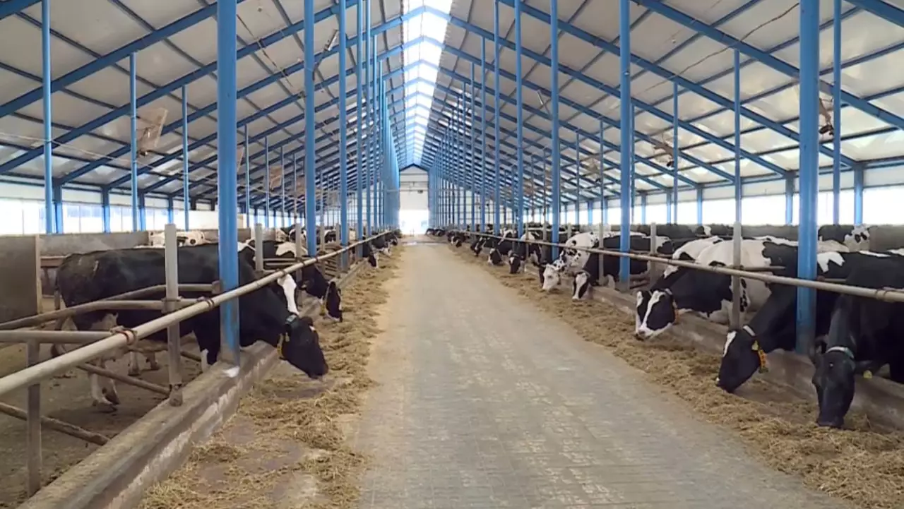 Жасанды интеллект шегірткемен күреседі