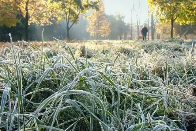 28 сәуірде Қазақстанның алты облысында үсік күтіледі