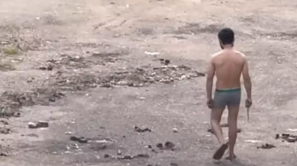 Раздетый иностранец с ножом напугал жителей Алматы