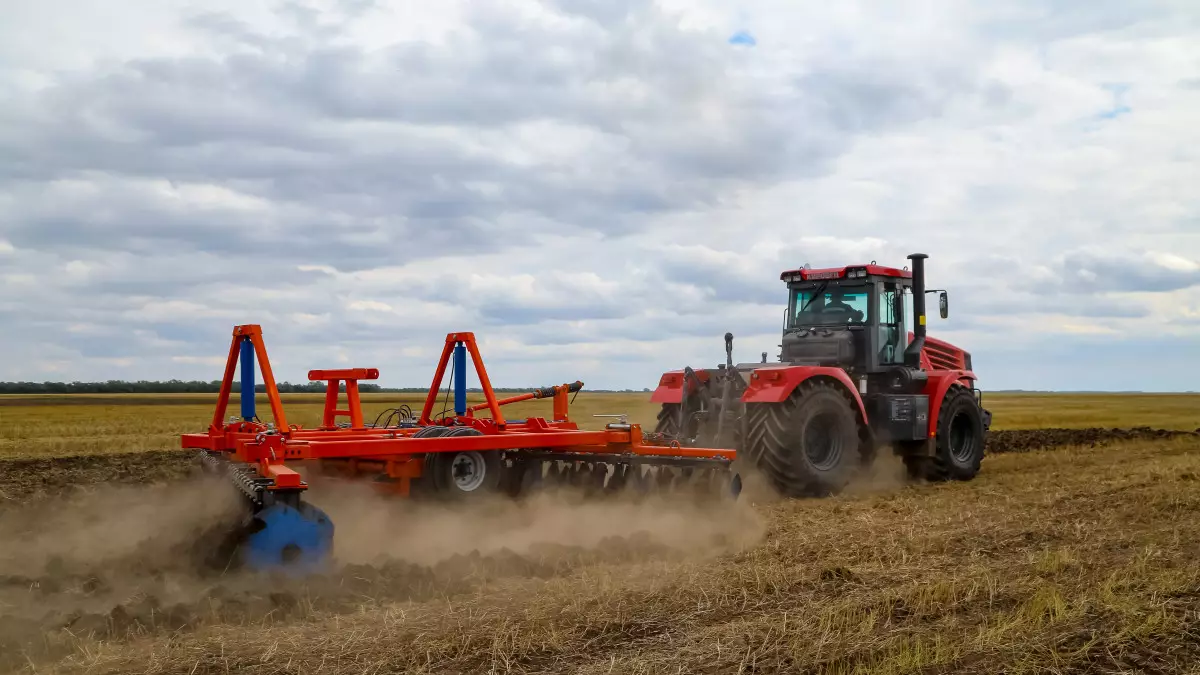 В Жетысу увеличат посевы кукурузы и урожай