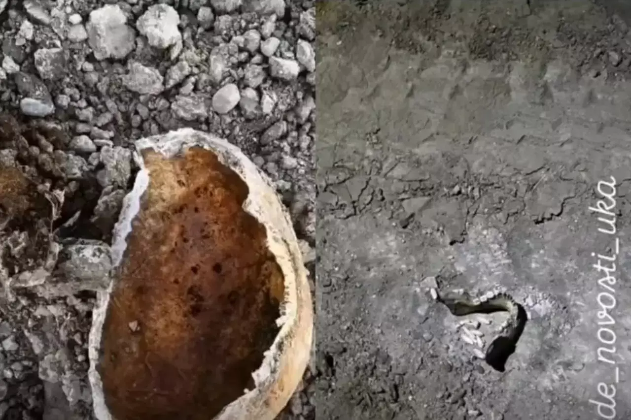 «Әруақты қорлау»: ШҚО-да сүйек шашылған жерге аурухана салынбақ