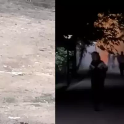 Весеннее обострение в Алматы: салют среди людей и мужчина с ножом в белье