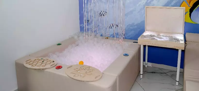 Новые учебные кабинеты открылись в центре поддержки семьи в Семее