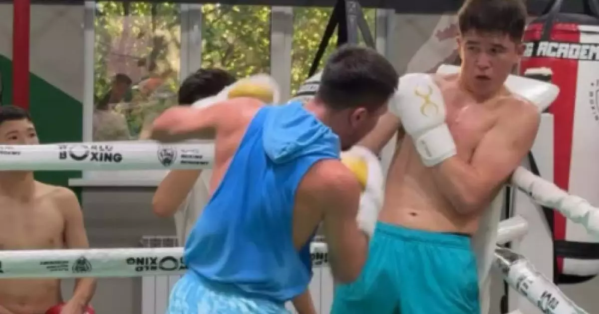  Боксшы Махмұд Сабырхан інісі Төрехан Сабырханды рингте `сыбап алды` (ВИДЕО) 