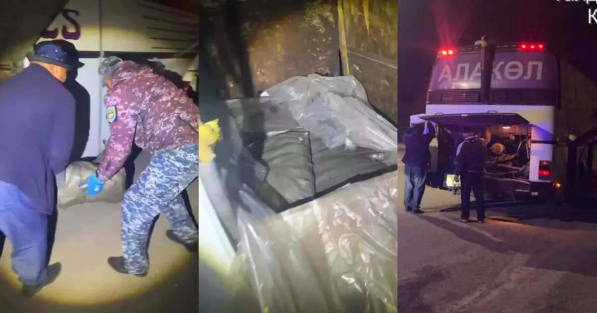  Жетісуда 4 қап балық аулаған зейнеткер ұсталды 