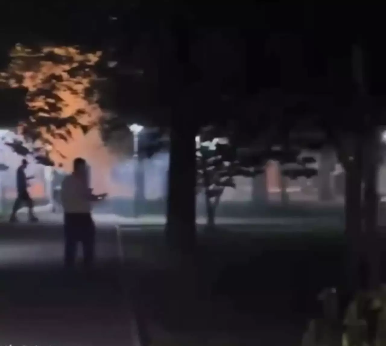 Ночной салют в парке Алматы едва не привел к трагедии: полиция начала проверку