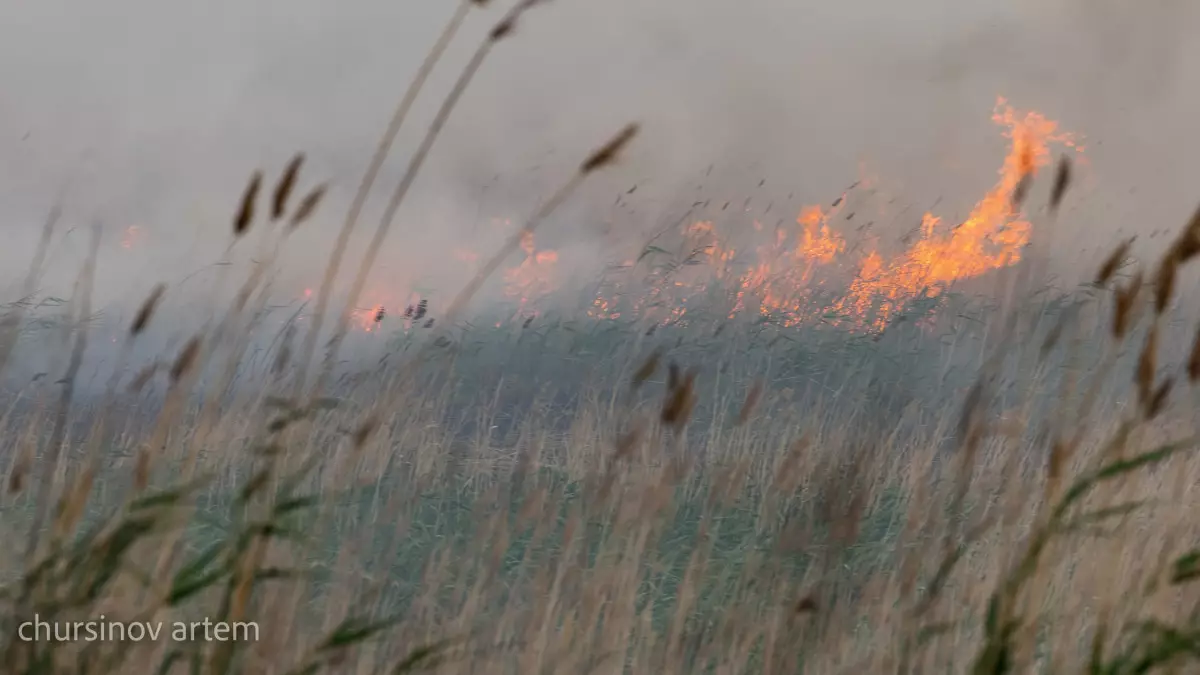 "Бірнеше өңірде өрт қаупі шарықтады" – Қазгидромет ескерту жасады 